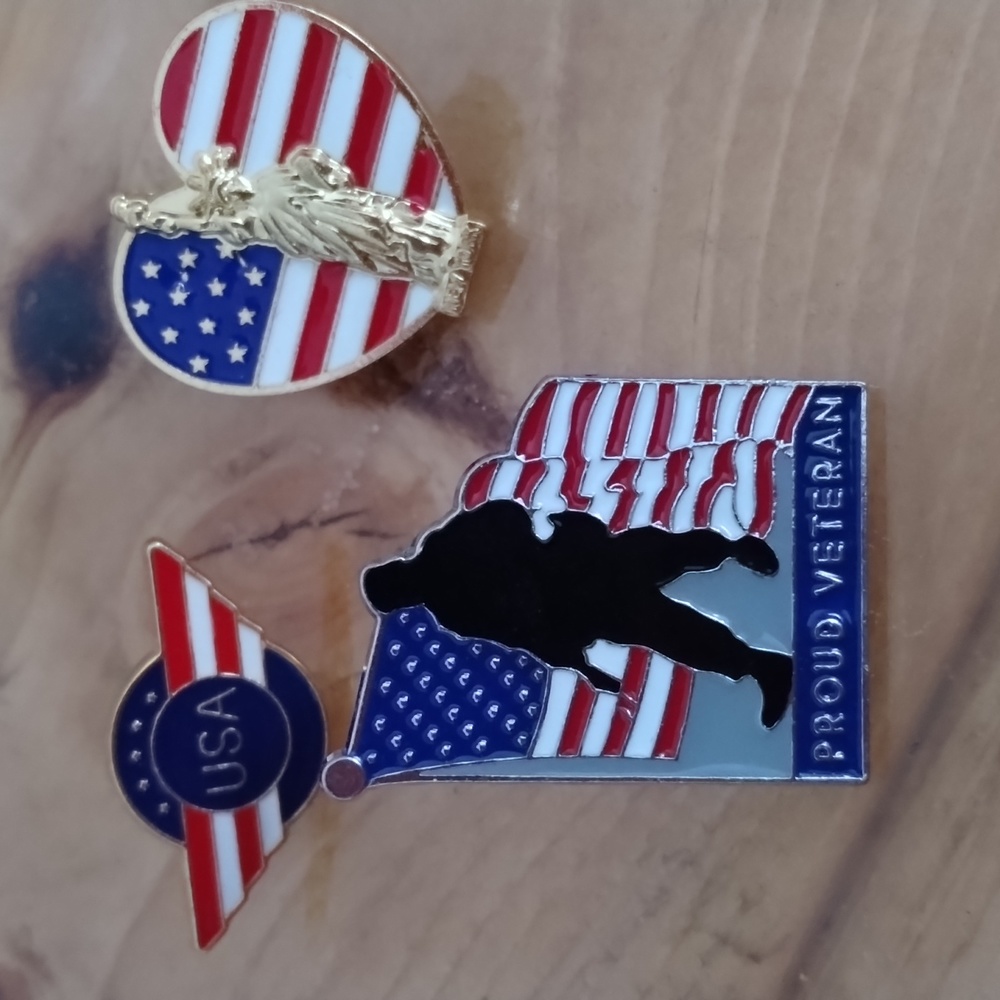 3 Veteran bag pin bundle